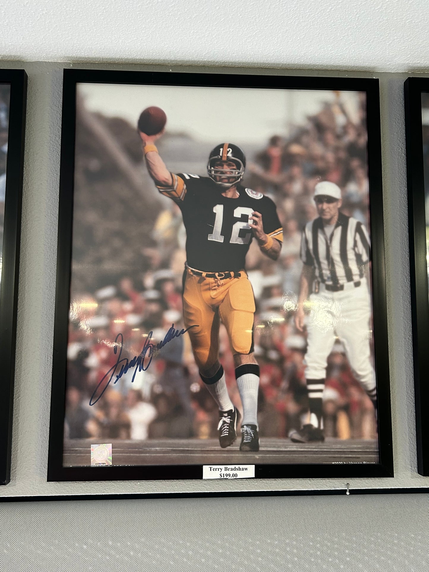 Terry Bradshaw Pittsburgh Steelers Signed Football Autographed Photo