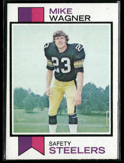 1973 Topps Mike Wagner #246